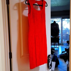 Cache sweater knit dress